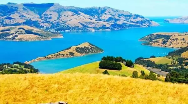 Southern New Zealand Tour Package